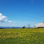 Am Schneeberg * Titisee-Neustadt
