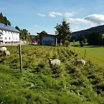 Apartamento Am Schneeberg *
