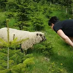 Am Schneeberg