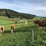 Am Schneeberg