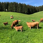 Am Schneeberg Apartamento Titisee-Neustadt