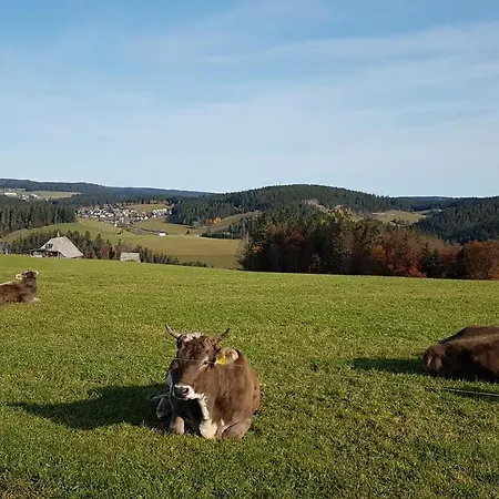 Apartment Am Schneeberg Titisee-Neustadt