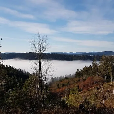 Apartment Am Schneeberg Titisee-Neustadt