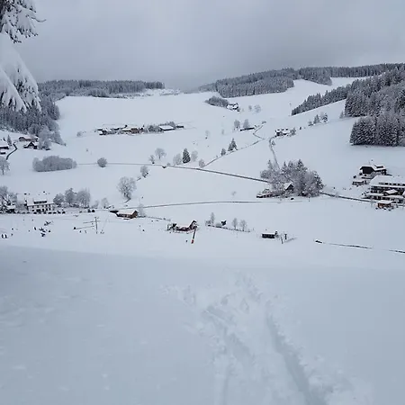 Am Schneeberg Titisee-Neustadt