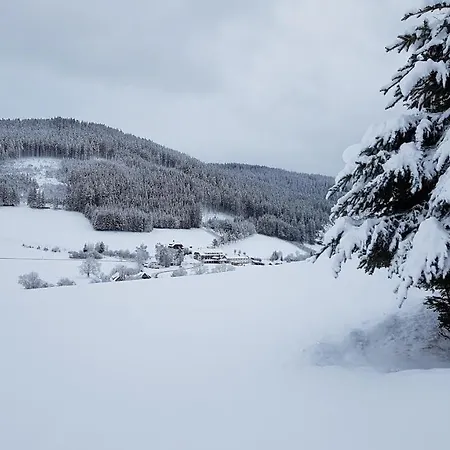 Am Schneeberg *
