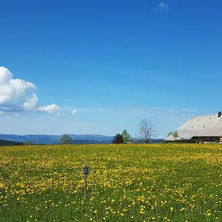 Am Schneeberg * Titisee-Neustadt