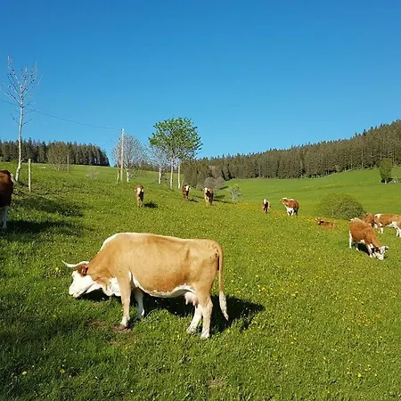 Am Schneeberg * Titisee-Neustadt