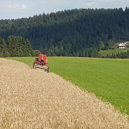 Apartment Am Schneeberg Titisee-Neustadt