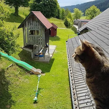 Am Schneeberg *