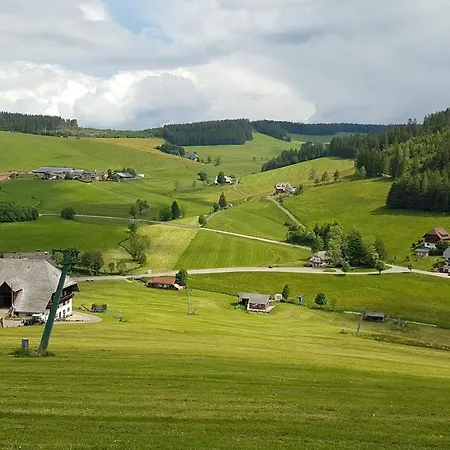 Am Schneeberg * Titisee-Neustadt