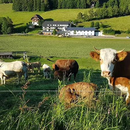 Apartment Am Schneeberg