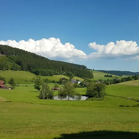 Am Schneeberg Titisee-Neustadt