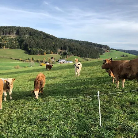 Am Schneeberg