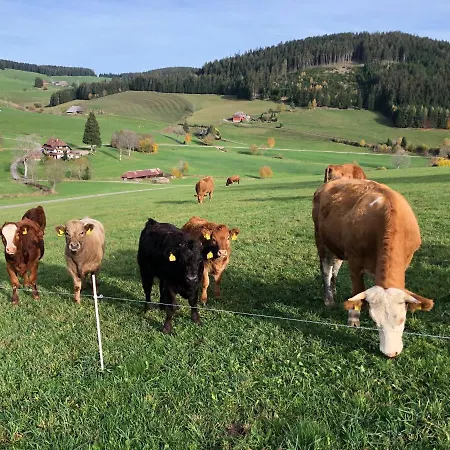 Am Schneeberg Apartment *