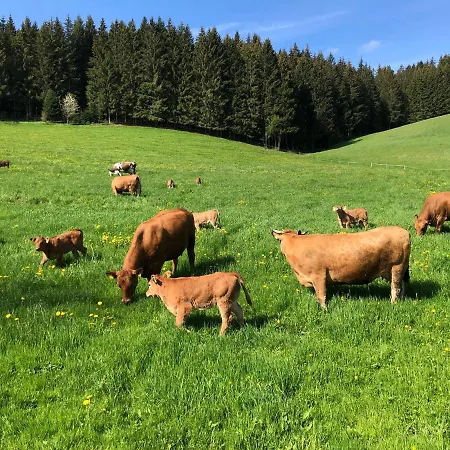 Am Schneeberg Apartment Titisee-Neustadt