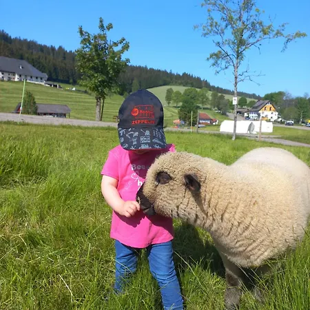 Am Schneeberg Apartamento Titisee-Neustadt