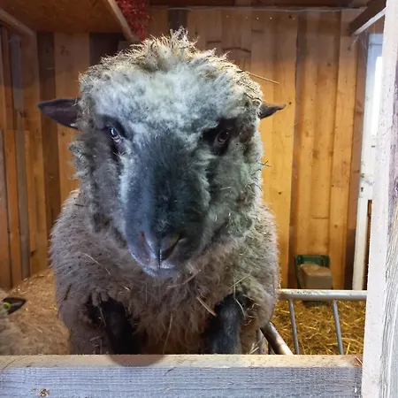 Am Schneeberg Apartment Titisee-Neustadt