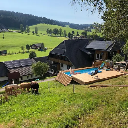 Am Schneeberg * Titisee-Neustadt