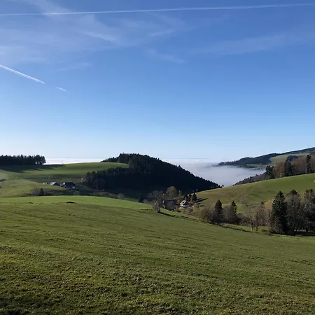 Am Schneeberg * Titisee-Neustadt