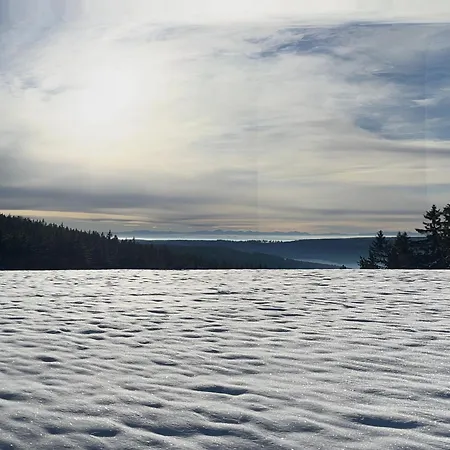 Am Schneeberg * Titisee-Neustadt