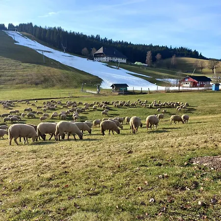 Am Schneeberg Apartment
