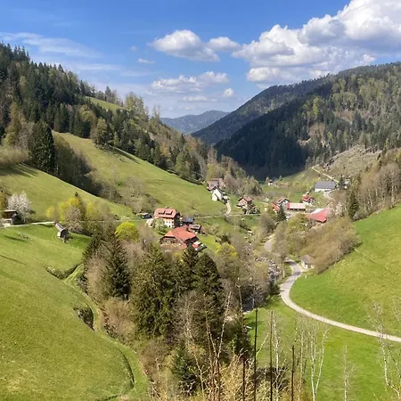 Am Schneeberg * Titisee-Neustadt